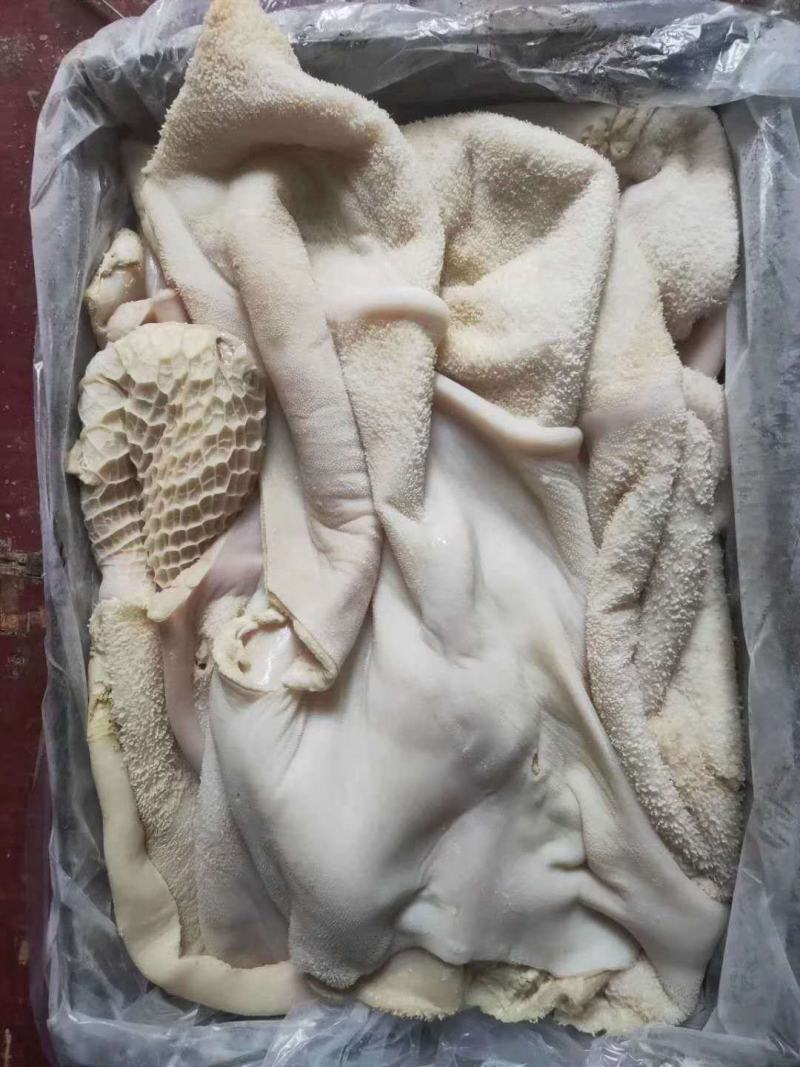 （半成品纯干牛肚）厂家直销一手货源质量保证