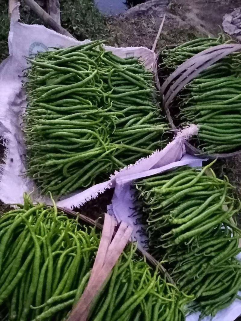 鲜青椒红椒：