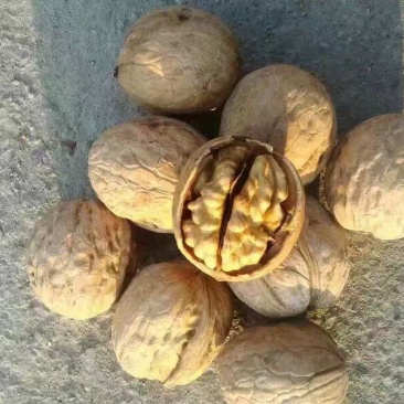 薄皮核桃