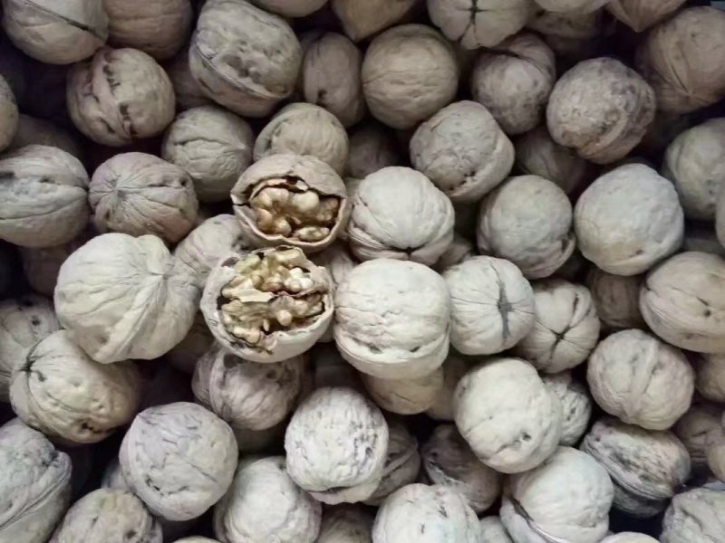 薄皮核桃