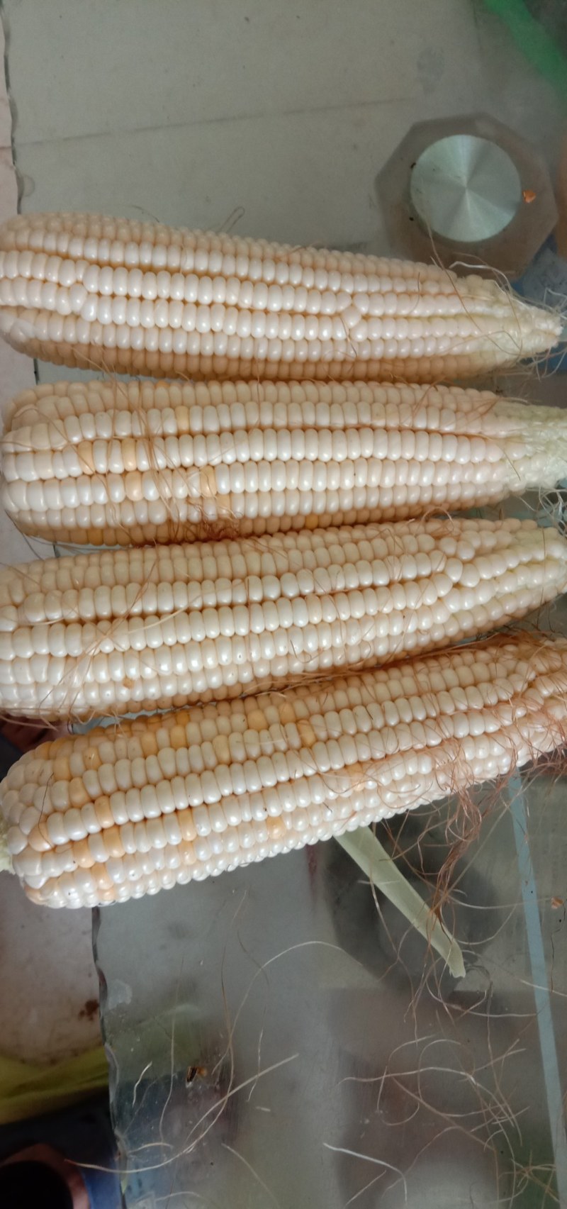 鲜糯玉米，口感香，甜糯