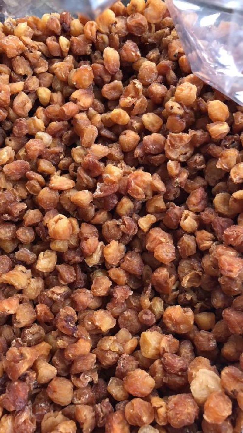 博白圆肉本地货有大量货源欢迎选购