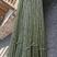 竹子金竹，楠竹三米尾径三公分以上的现货出售。