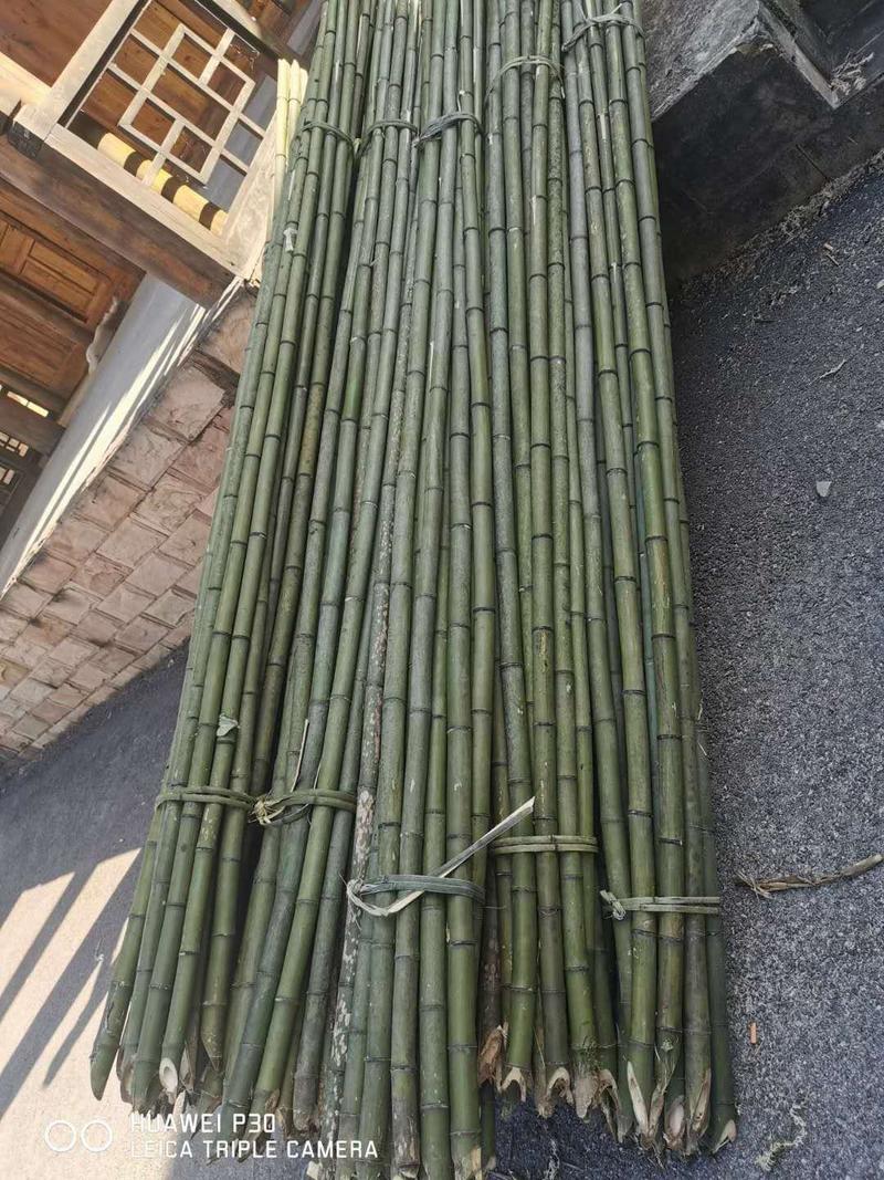 竹子金竹，楠竹三米尾径三公分以上的现货出售。