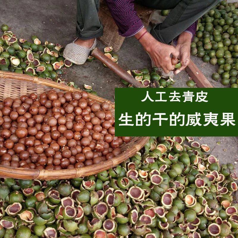 新货夏威夷果澳洲坚果孕妇坚果不上火休闲零食一件代发批发
