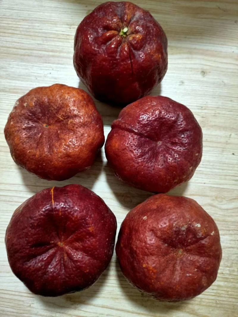 媛红椪柑枝条（需要这款新品种枝条的联系我）
