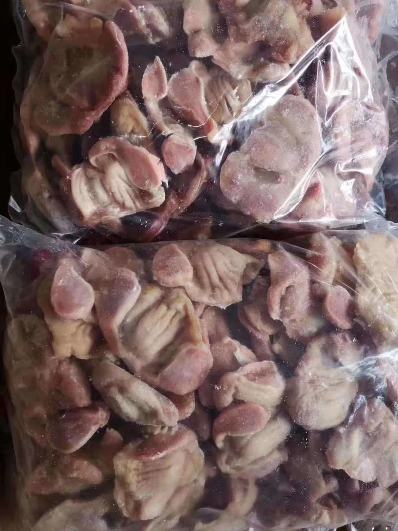 纯干大鸡珍带胃不带胃都有货欢迎询价