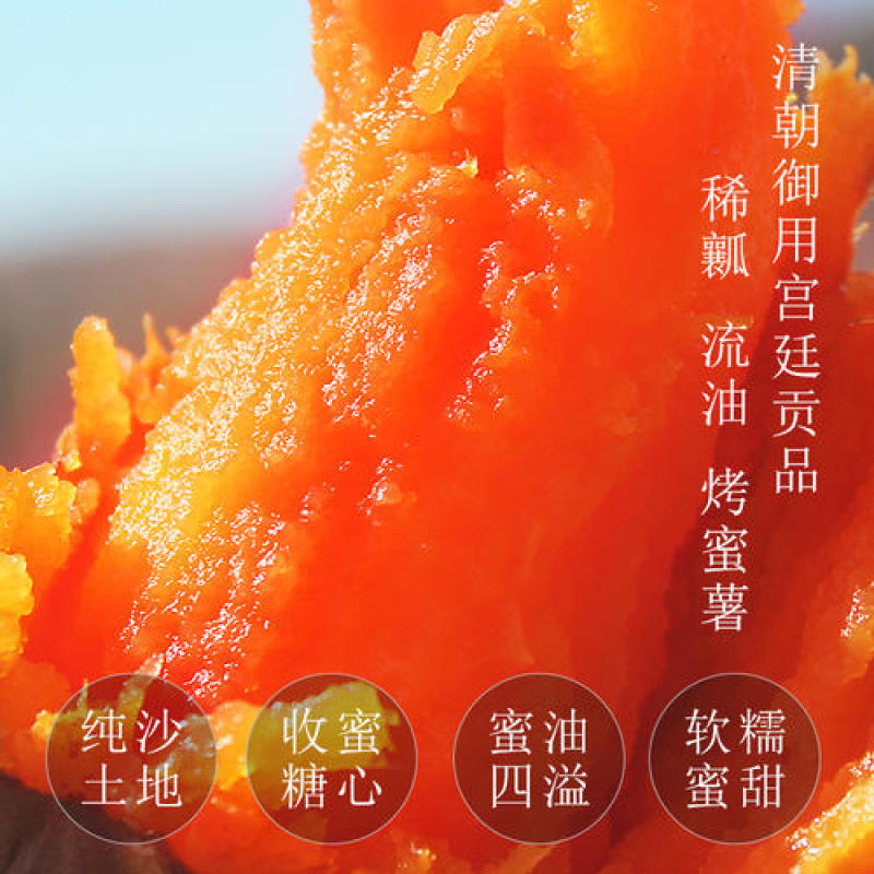烟薯25号烟蜜薯山东沙地蜜薯烤红薯现挖现发八折一件代发