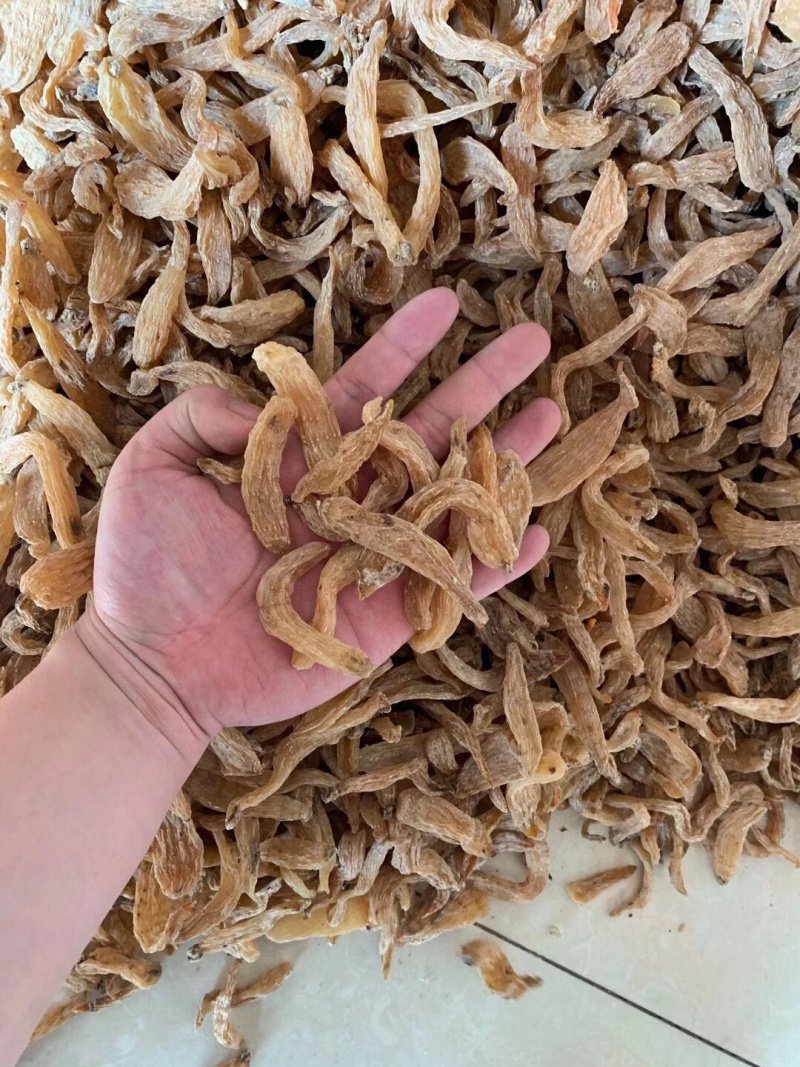 云南昭通天麻大货批发天麻一件代发微商电商团购联系产地直发