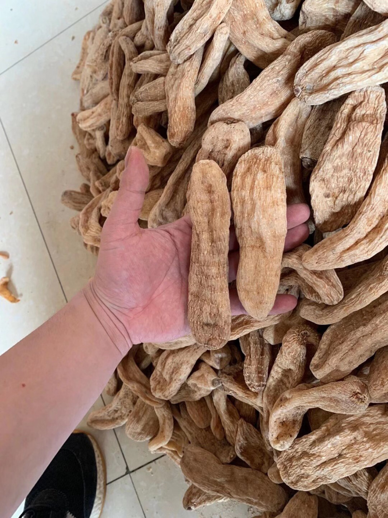 云南昭通天麻大货批发天麻一件代发微商电商团购联系产地直发