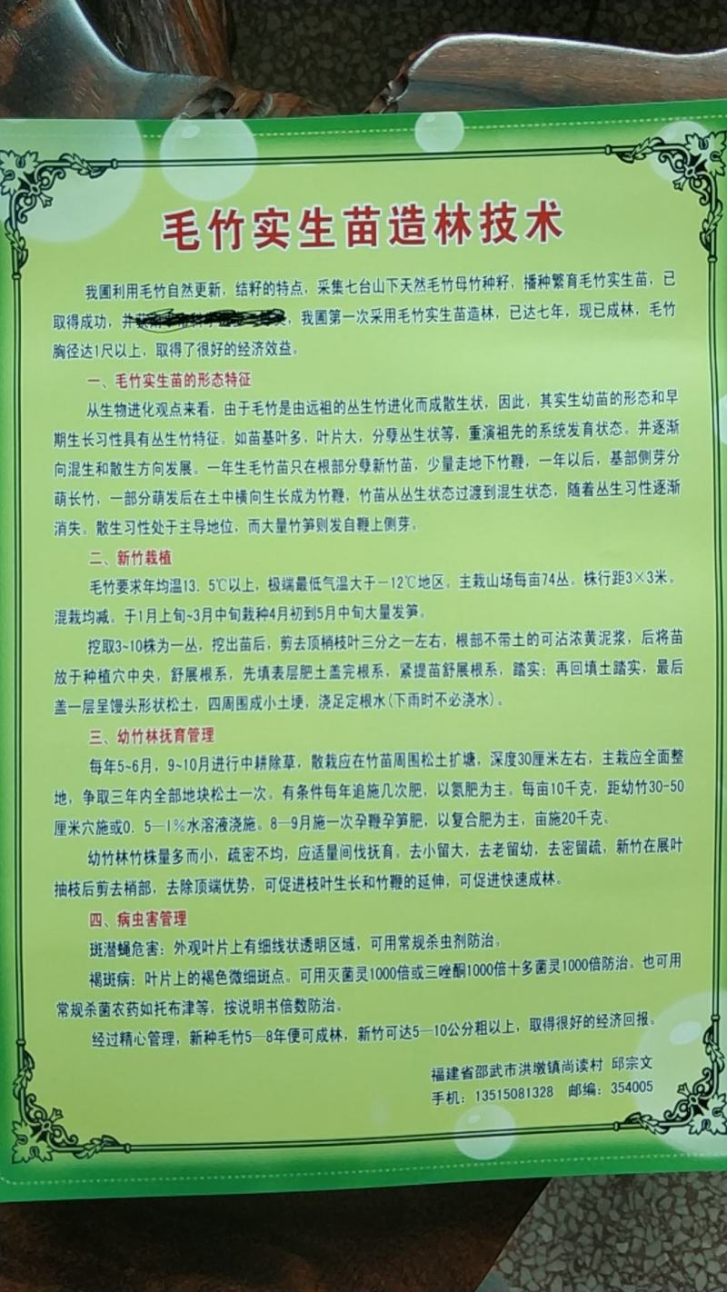 供二年生毛竹苗原种，江西竹苗，广东竹苗，浙江竹苗，安徽竹