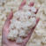 特上雪燕品相漂亮性价比高全白雪花批发代发送礼礼盒