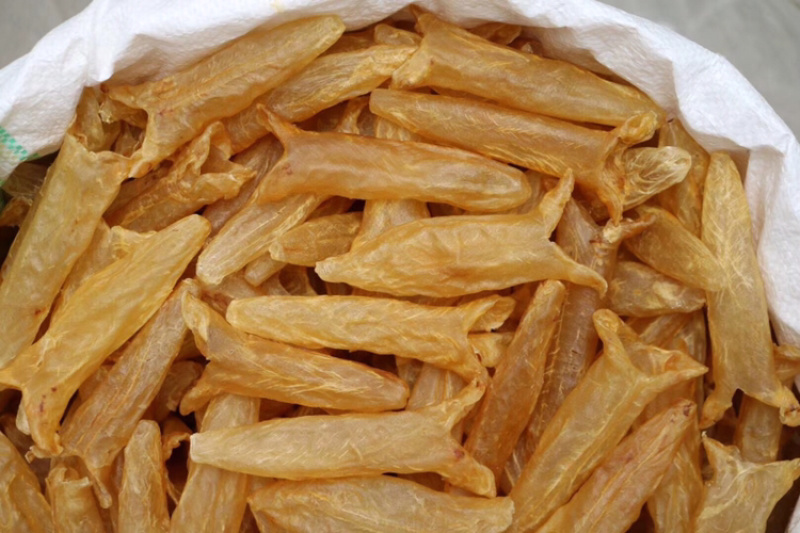 特级45头黄花胶鱼胶花胶水产干货批发代发送礼礼盒
