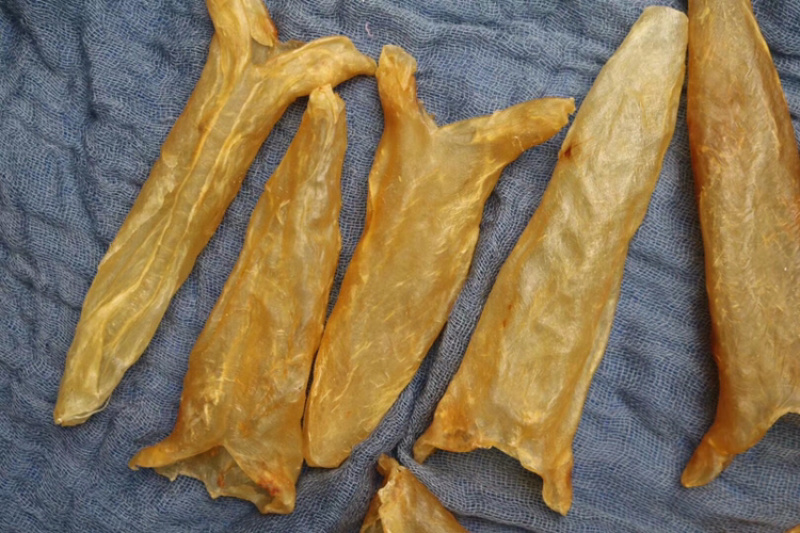 特级45头黄花胶鱼胶花胶水产干货批发代发送礼礼盒