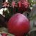 油桃嫁接苗基地直销规格齐全现挖现卖免费指导
