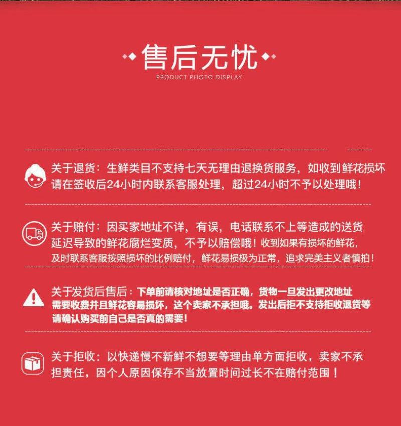 玫瑰鲜切花基地直发婚庆祝福老婆生日家庭插花心意一件代发