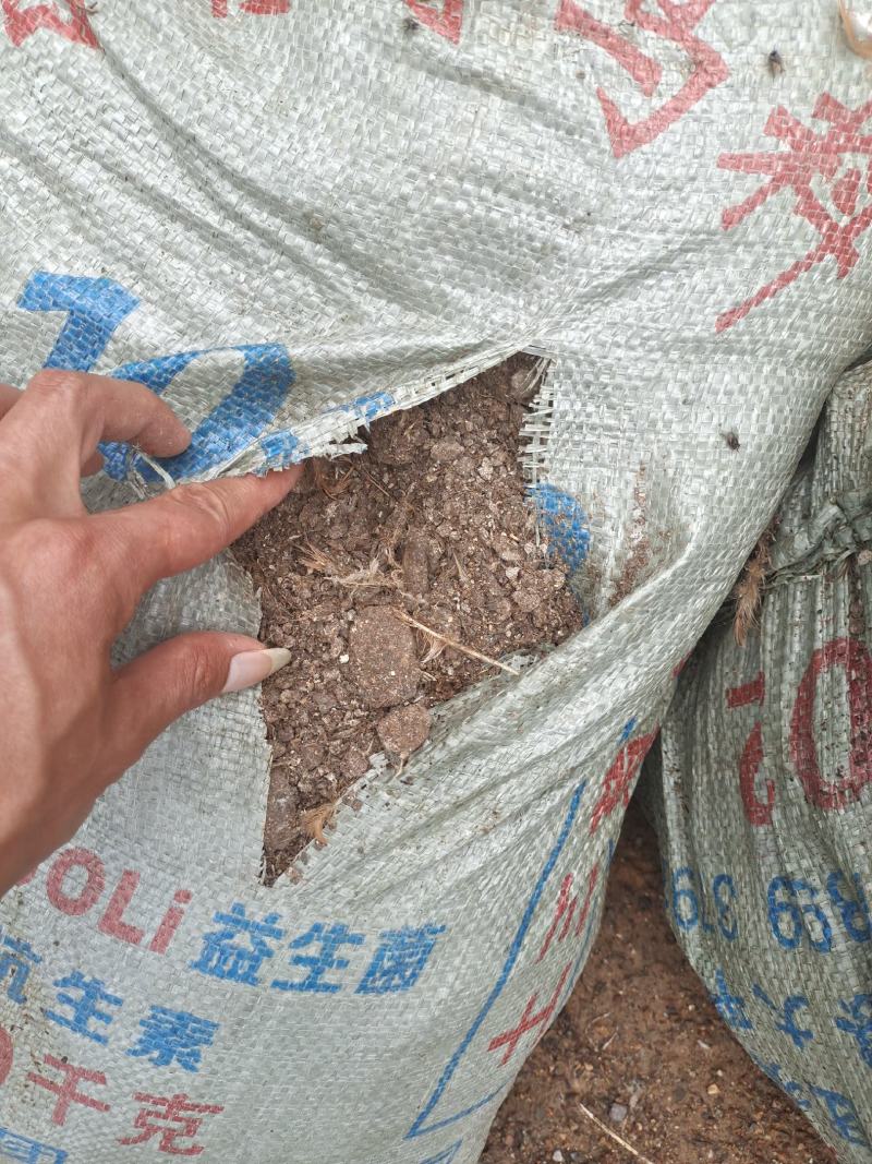 长期供货鸡粪，各种禽畜有机肥肥肥