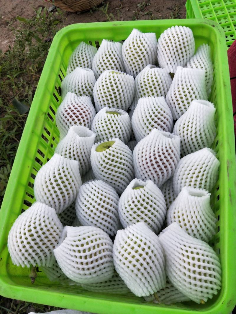 新疆库尔勒正宗库尔勒香梨