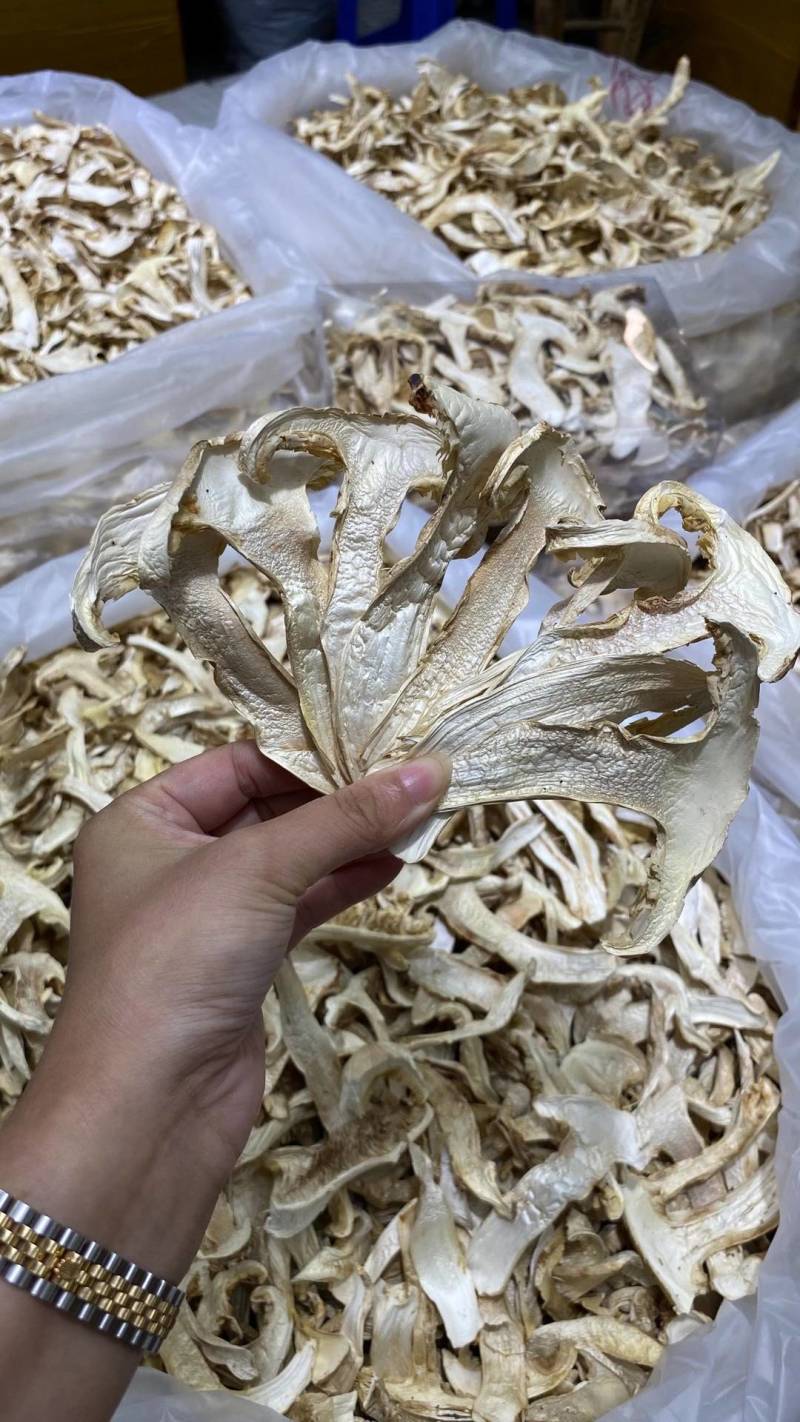 云南野生香格里拉松茸干片通货中片抽芯片