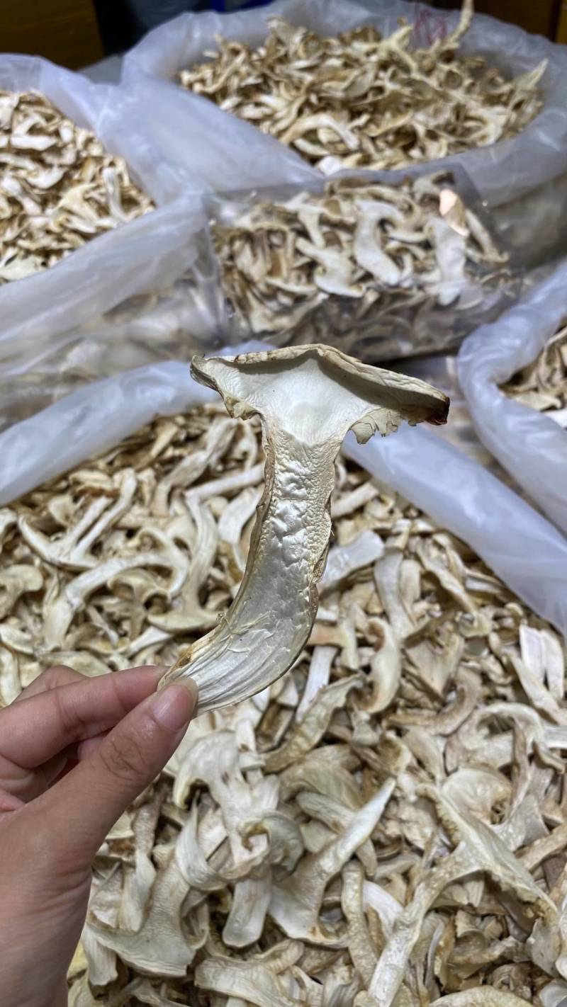 云南野生香格里拉松茸干片通货中片抽芯片
