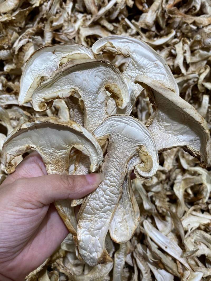 云南野生香格里拉松茸干片通货中片抽芯片