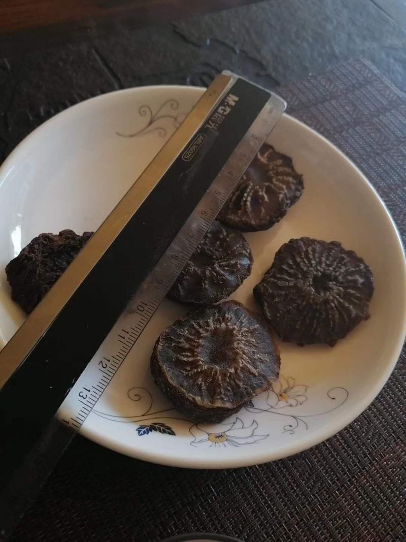 阿拉善冬季油苁蓉片(一件代发)，产地直发，无任何添加剂