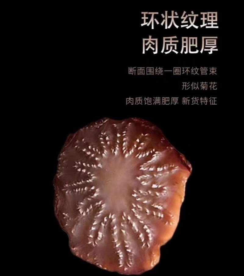 阿拉善冬季油苁蓉片(一件代发)，产地直发，无任何添加剂
