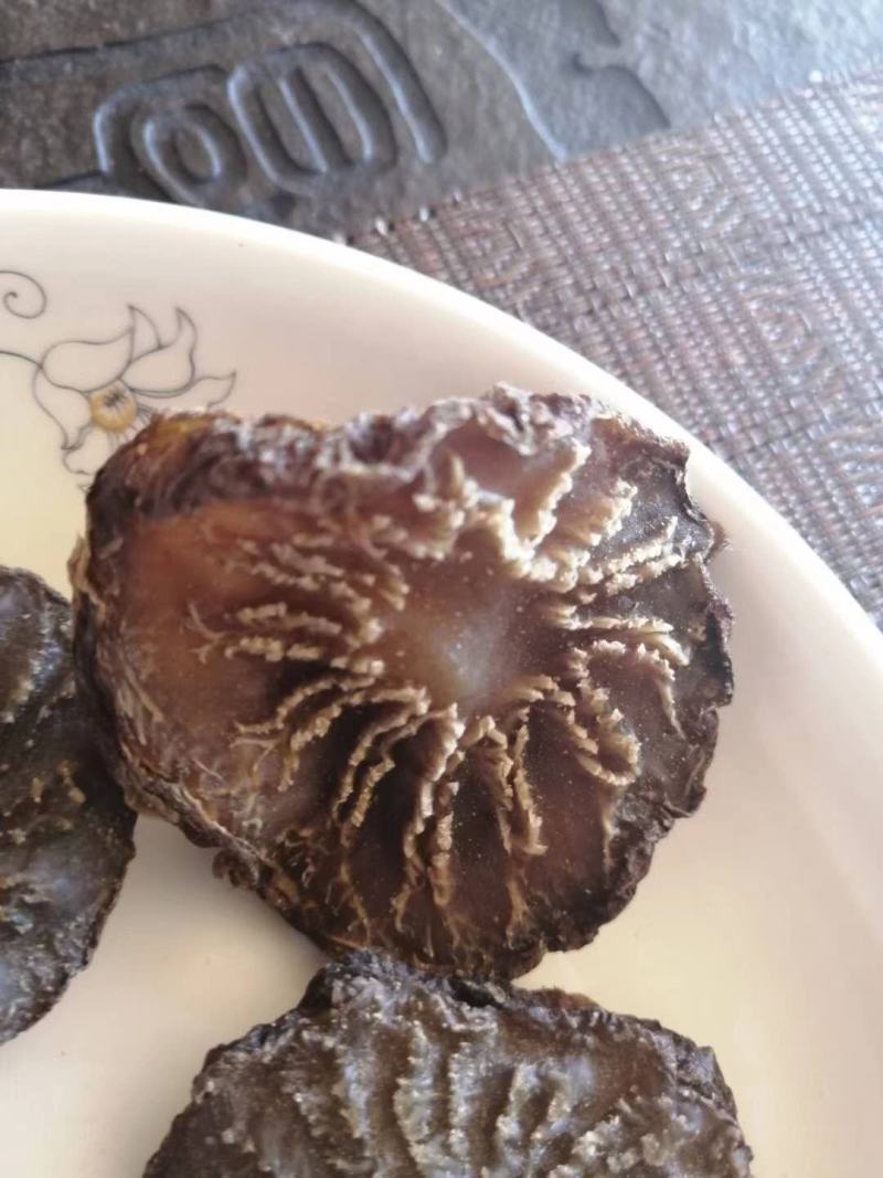 阿拉善冬季油苁蓉片(一件代发)，产地直发，无任何添加剂