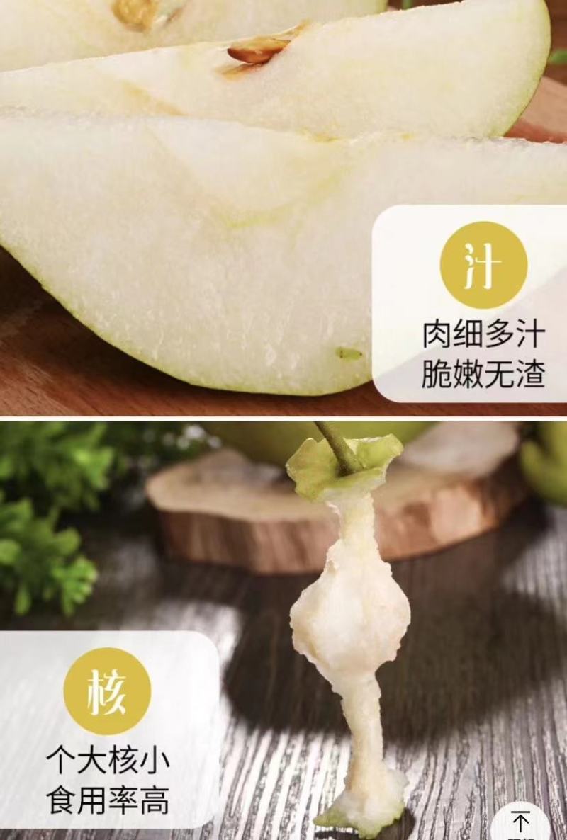 河南鲁山二百多亩红香酥梨甘、醇、甜，皮薄，无渣，梨核小！