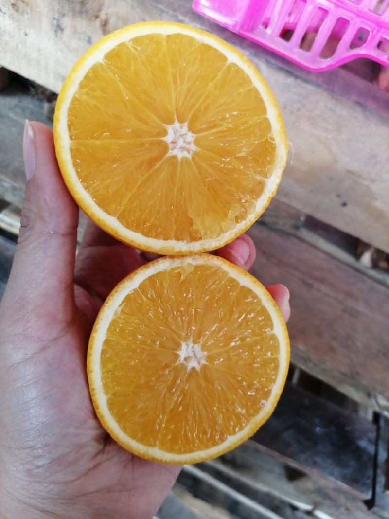 南非榨汁橙框装加工橙电商主推橙南非蜜奈橙