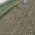 400多亩荒地，出租1-4年