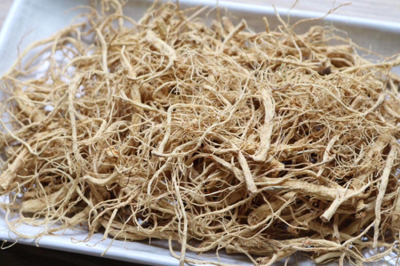 广西金边灵芝切片香味很浓批发代发送礼礼盒