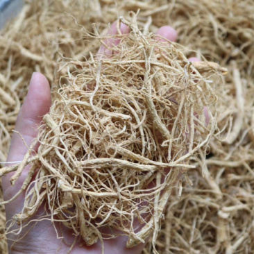广西金边灵芝切片香味很浓批发代发送礼礼盒
