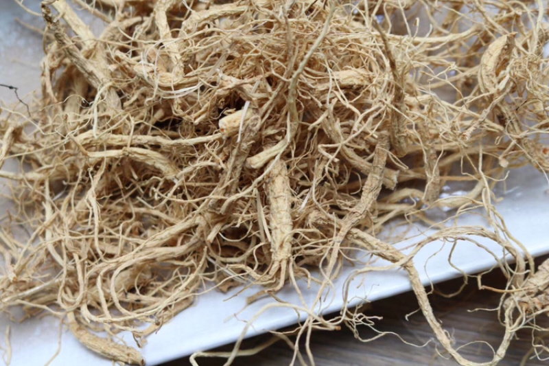 广西金边灵芝切片香味很浓批发代发送礼礼盒
