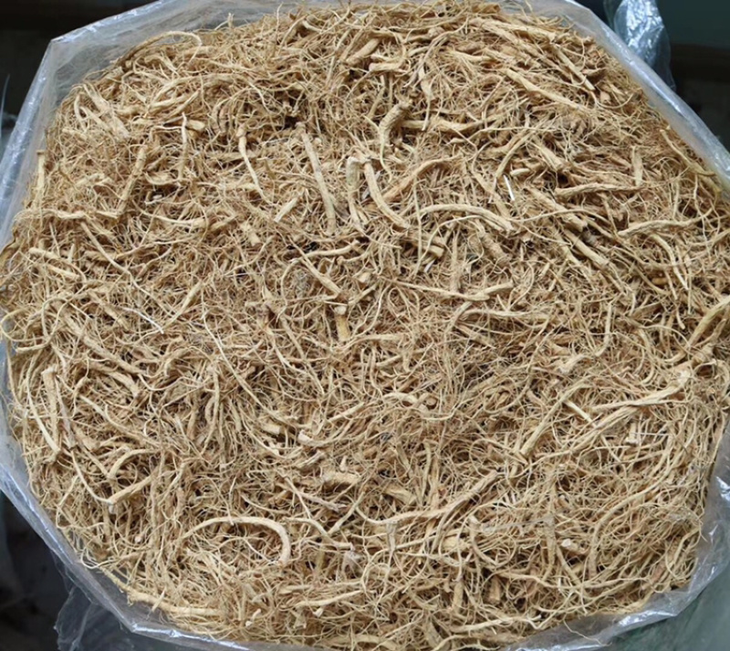 广西金边灵芝切片香味很浓批发代发送礼礼盒