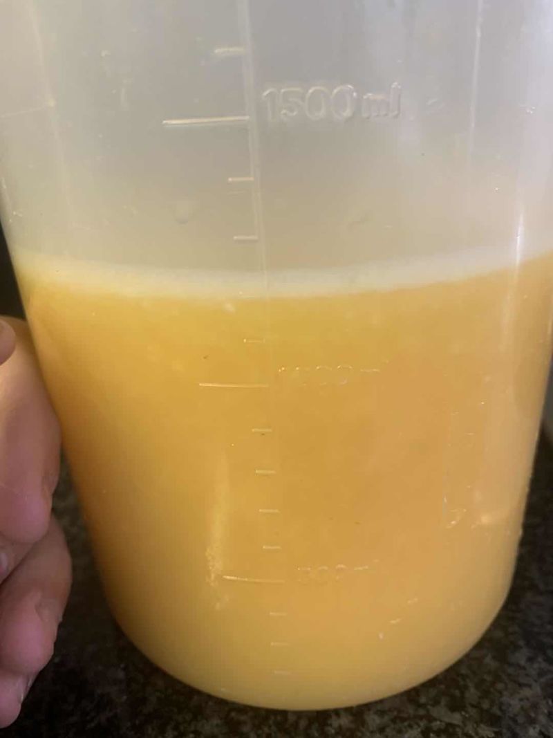 南非榨汁橙框装加工橙电商主推橙南非蜜奈橙