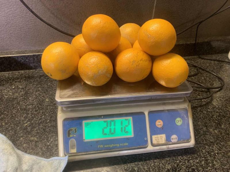 南非榨汁橙框装加工橙电商主推橙南非蜜奈橙