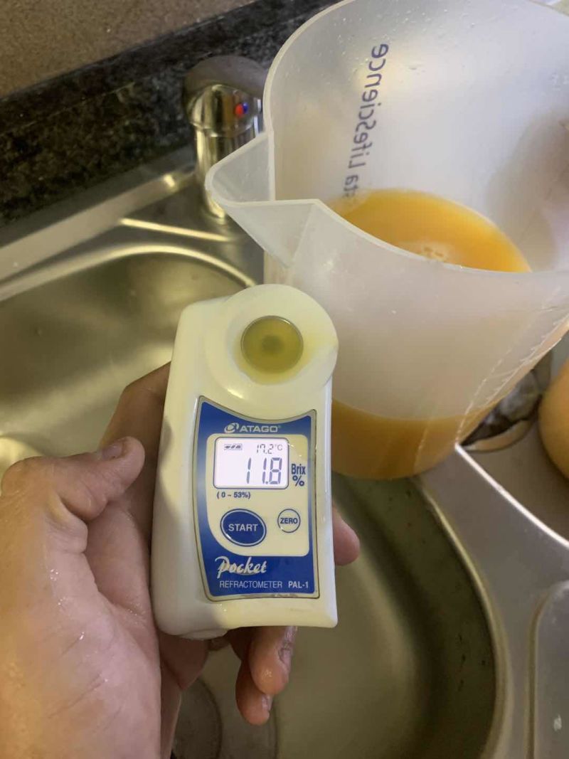 南非榨汁橙框装加工橙电商主推橙南非蜜奈橙