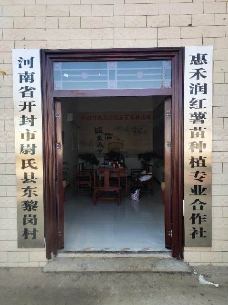 开封市尉氏县惠禾润脱毒红薯苗规模式繁育基地西瓜红薯苗