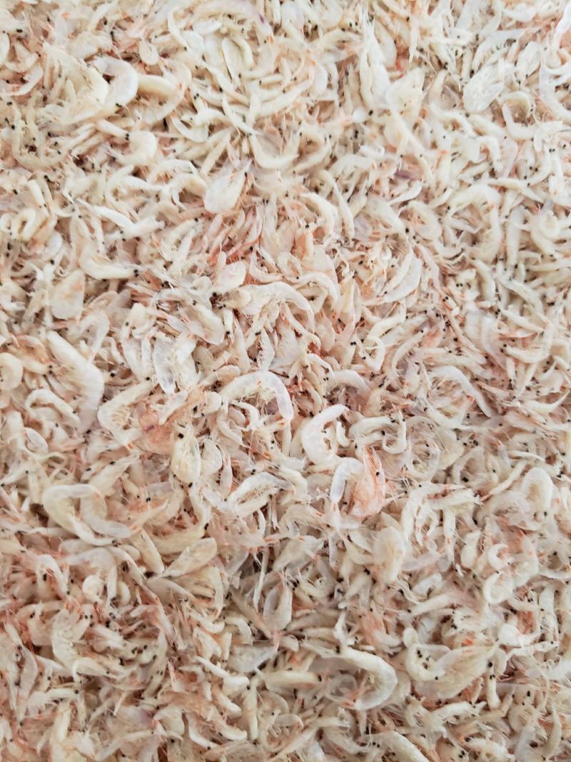 现有大量渤海湾虾皮，颜色漂亮，价格美丽，电商主打产品