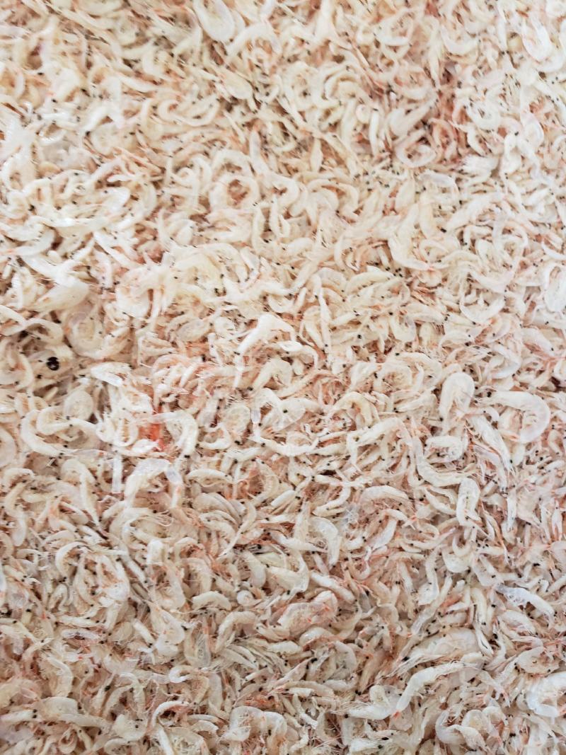 现有大量渤海湾虾皮，颜色漂亮，价格美丽，电商主打产品