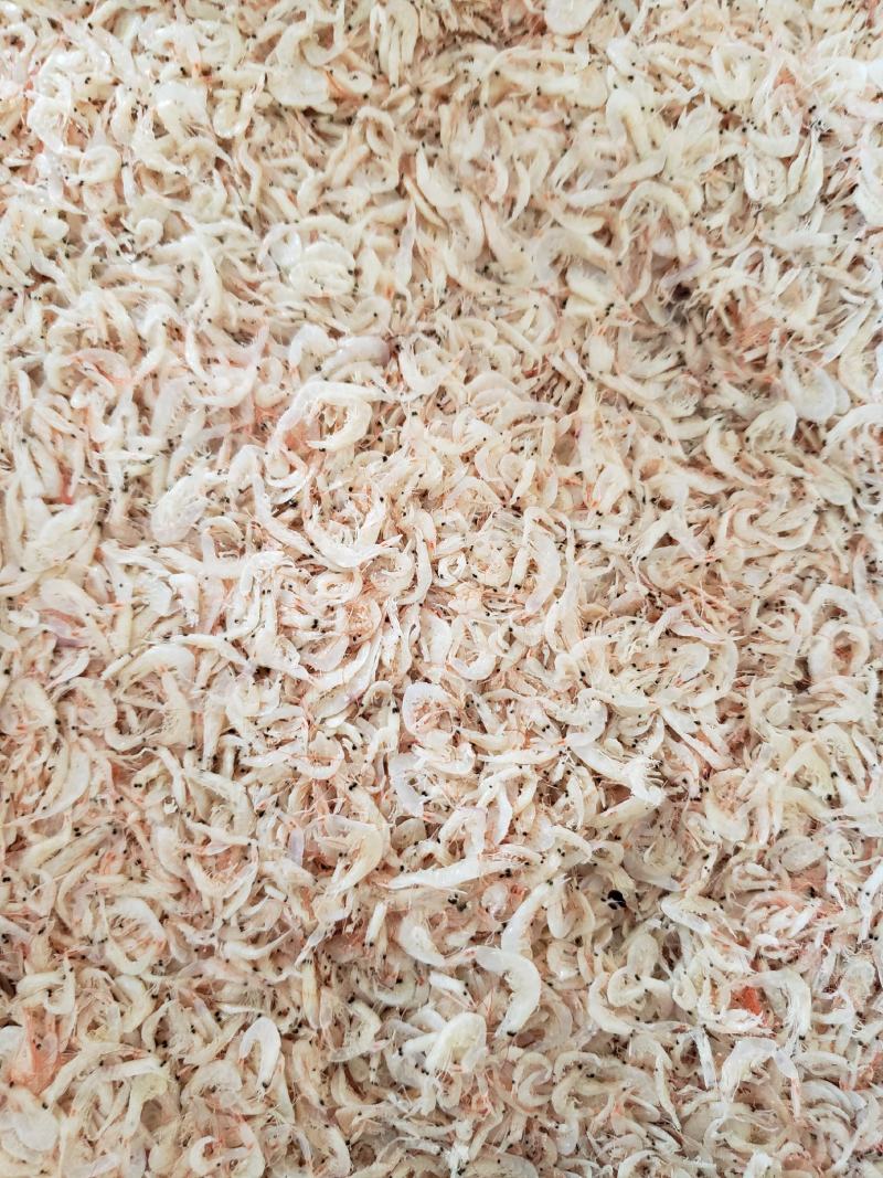 现有大量渤海湾虾皮，颜色漂亮，价格美丽，电商主打产品