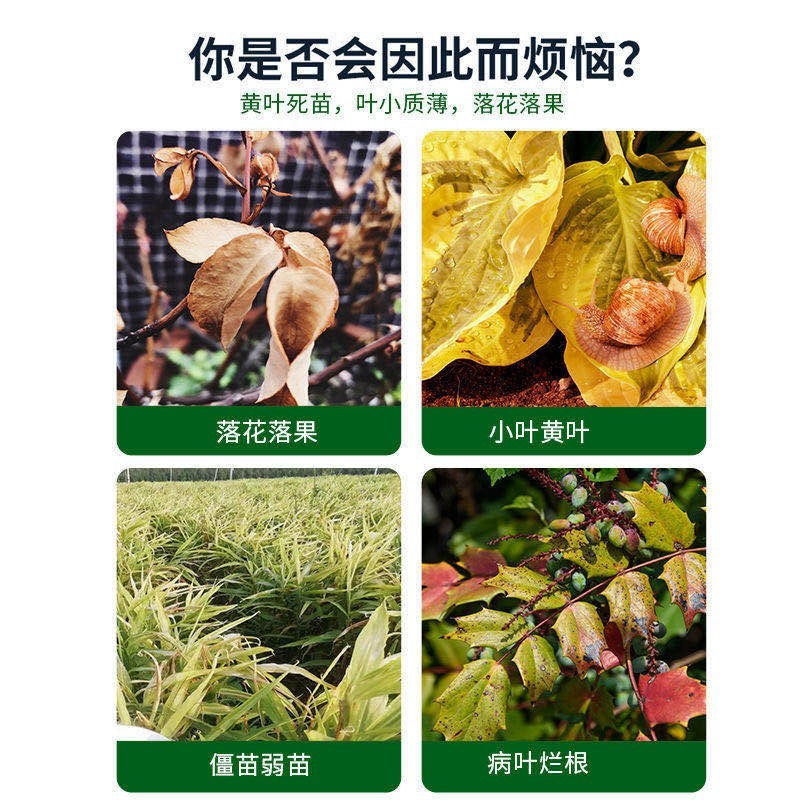 一喷绿黄叶变绿钙镁锌锰硼铜钼进口蔬菜花卉叶绿素微量元素