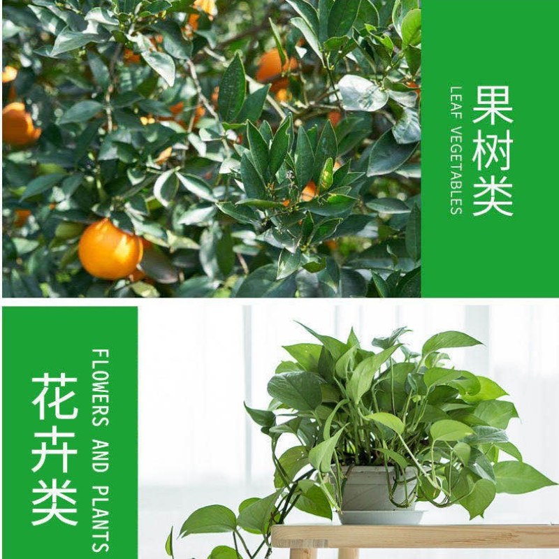 一喷绿黄叶变绿钙镁锌锰硼铜钼进口蔬菜花卉叶绿素微量元素