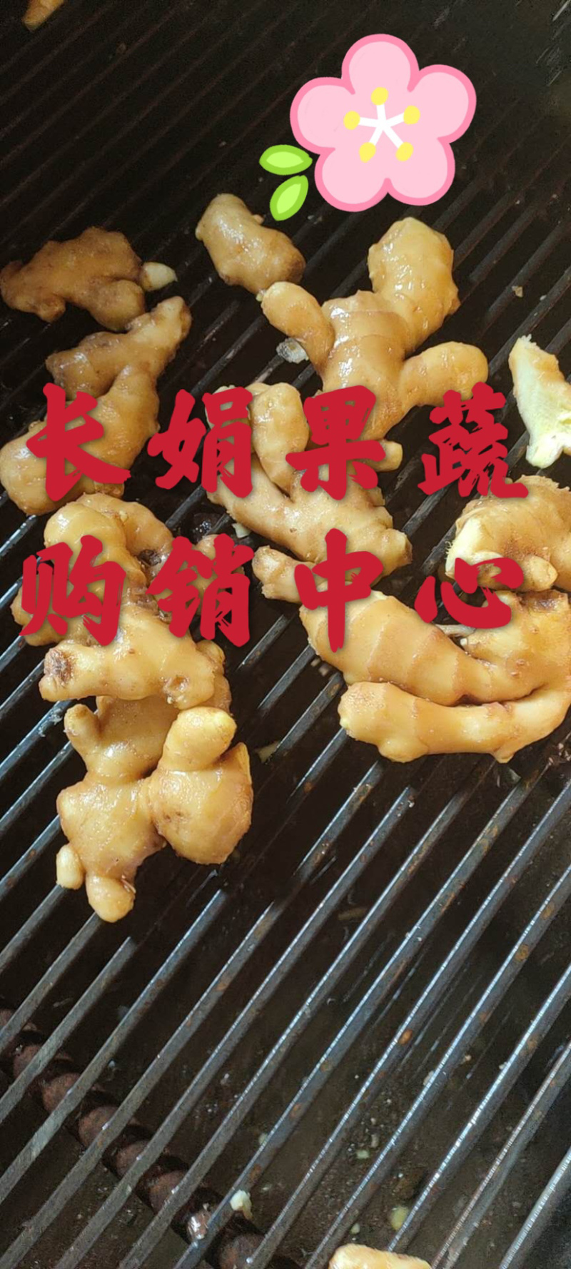山东窖藏优质生姜，姜母一手货源产地现货，视频看货