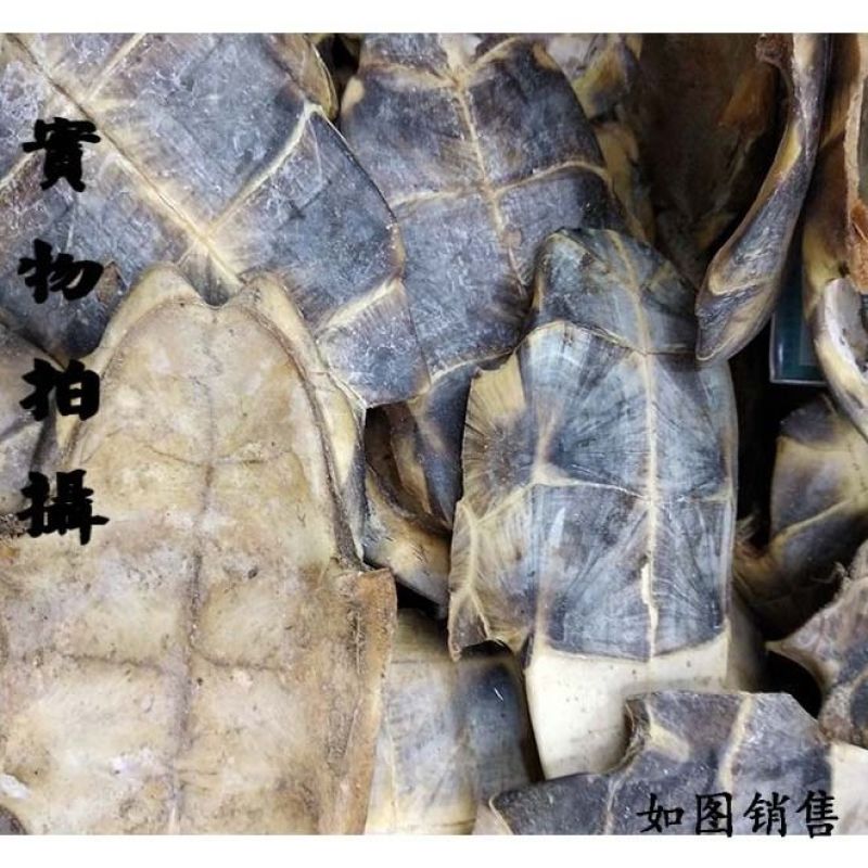 龟甲，产地直供，无硫磺，***剂，含量高，过药监
