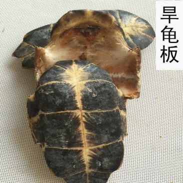 龟甲，产地直供，无硫磺，***剂，含量高，过药监