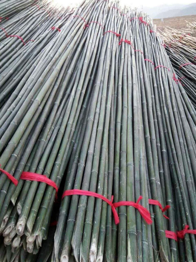 精品竹片果树蔬菜支撑竹架毛竹菜竹一手货源量大从优！