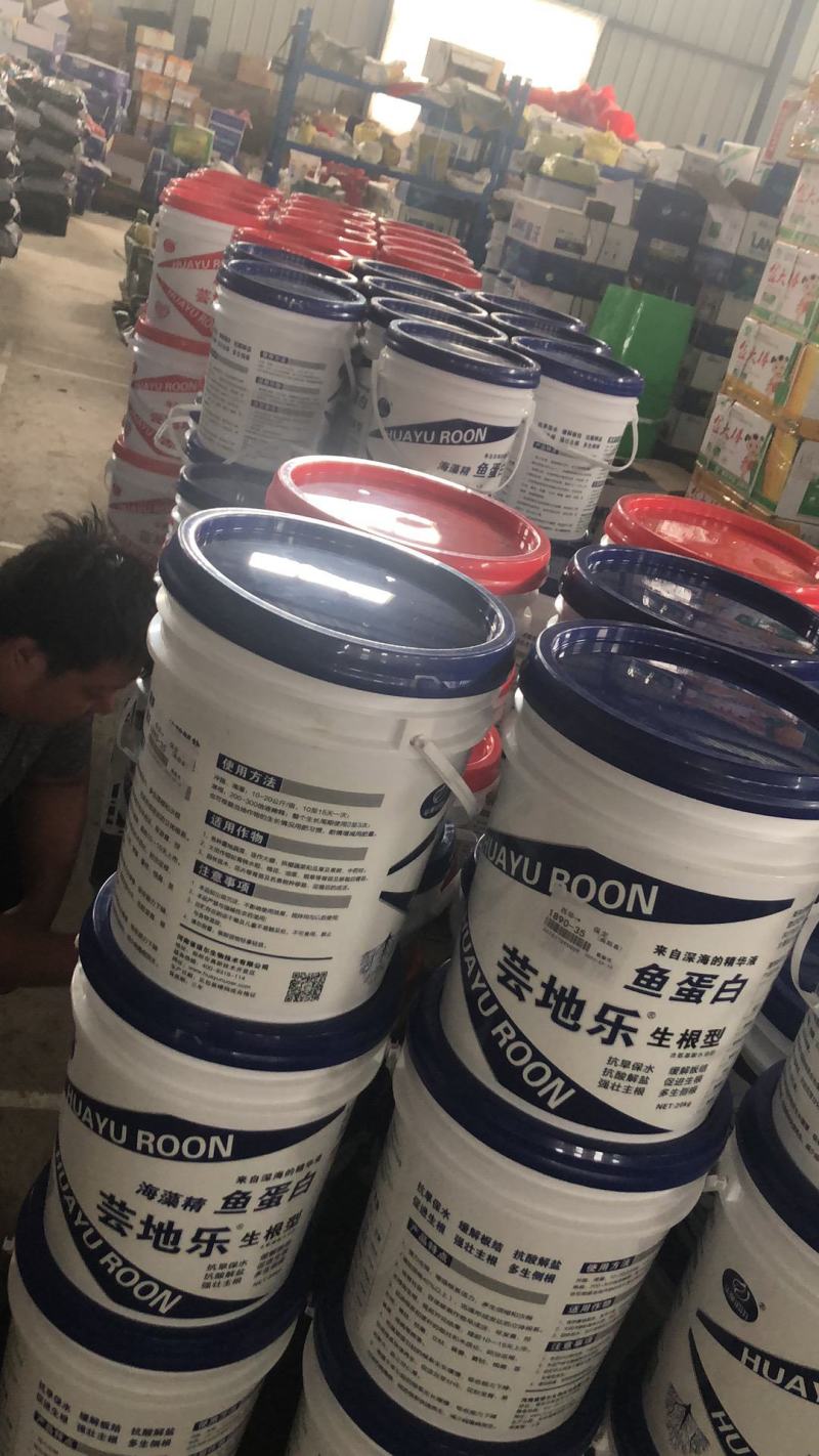 海藻酸冲施肥芸地乐桶肥浓缩酶解鱼蛋白生根膨果壮苗