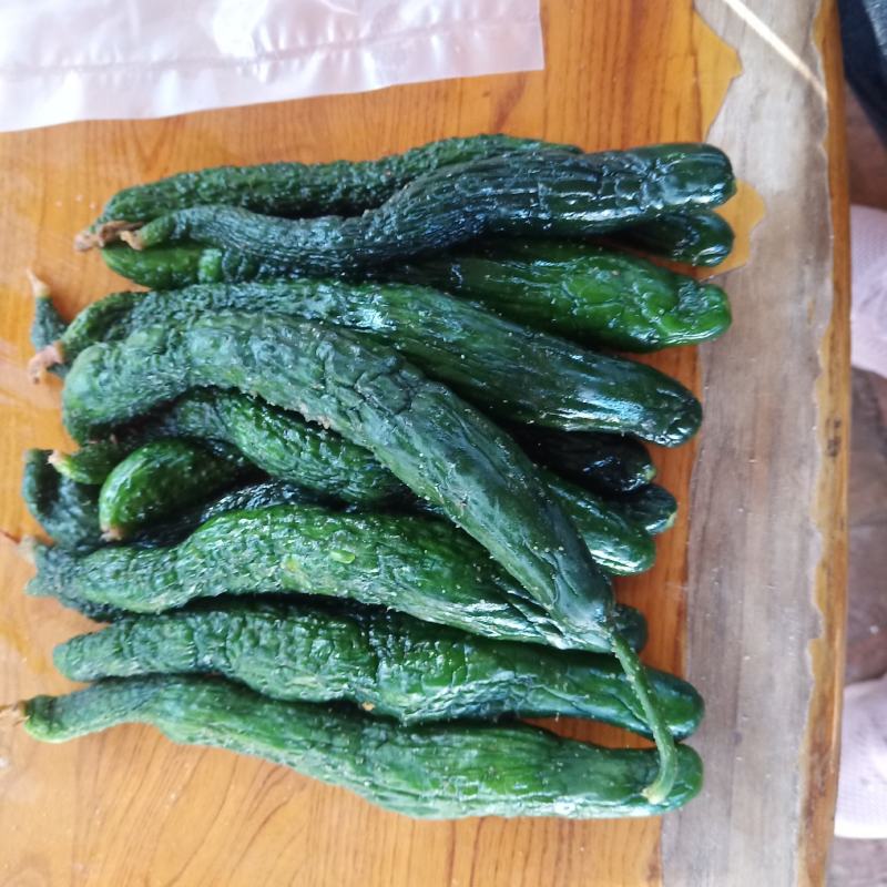 半成品小黄瓜，二瓜，鲜小黄瓜鲜二瓜，大量供应
